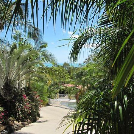 Reefside Villas - Whitsundays แอร์ลีบีช ภายนอก รูปภาพ